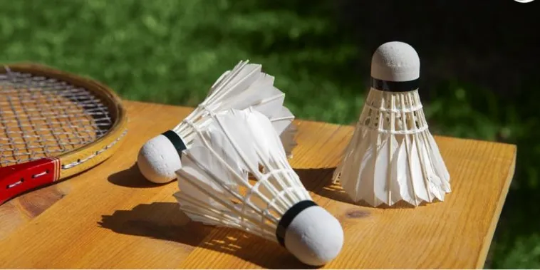 Chinh Phục Cách Chơi Cá Cược Cầu Lông Tại 8KBet Cực Dễ 1 Chinh Phục Cách Chơi Cá Cược Cầu Lông Tại 8KBet Cực Dễ