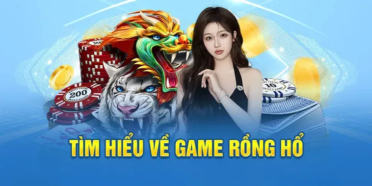 Bật Mí Mẹo Chơi Dragon Tiger Tại 8KBet Thắng Lớn Từ Cao Thủ 2 Bật Mí Mẹo Chơi Dragon Tiger Tại 8KBet Thắng Lớn Từ Cao Thủ