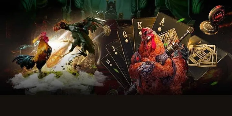 Hướng Dẫn Cách Chơi Đá Gà GA28 Tại 8KBet Từ A Đến Z 1 Hướng Dẫn Cách Chơi Đá Gà GA28 Tại 8KBet Từ A Đến Z