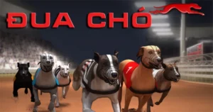 Thắng Lớn Với Cách Chơi Game Nhanh Đua Chó Tại 8KBet 1 Thắng Lớn Với Cách Chơi Game Nhanh Đua Chó Tại 8KBet